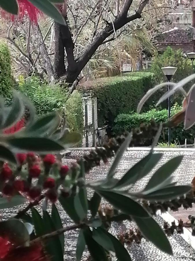 " Domus Coralla" Bnb Racconti Di Viaggio CTA Exteriör bild